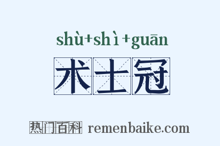 术士冠是什么意思的图片